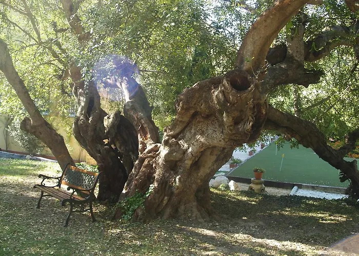 Ξενοδοχείο Lehmi Tárbena