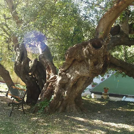 Hotel Lehmi Tàrbena